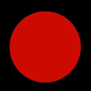 本文を追加